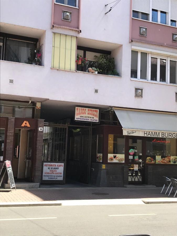 セゲドDom Square-Centrum-Free Parkingアパートメント エクステリア 写真